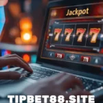 tipbet88.site